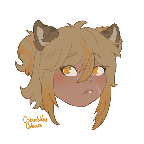 £5/1 month nitro basic